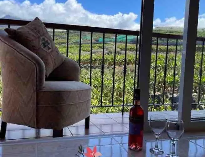 Apartmán Casa Susi *